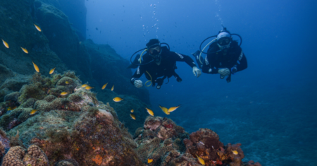 Guia para Mergulho com Cilindro em Fernando de Noronha
