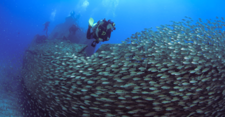 Mergulho com Cilindro nos Naufrágios de Recife
