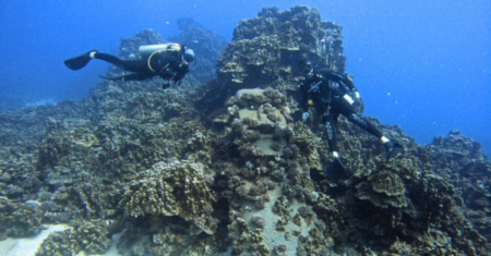 Mergulho na Ilha de Páscoa: Experiência Única no Pacífico