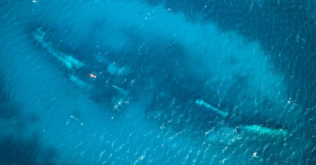 Mergulho e Snorkeling no Naufrágio do SS Antilla em Aruba