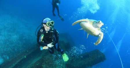 Melhores Lugares para Mergulho com Cilindro no Brasil
