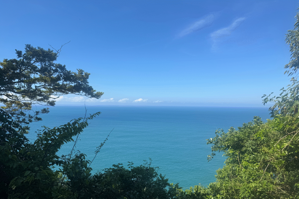 Vista da Trilha do Bonete