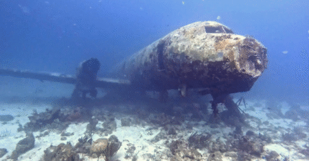 Mergulho nos Aviões Afundados em Aruba: Uma Experiência Inesquecível