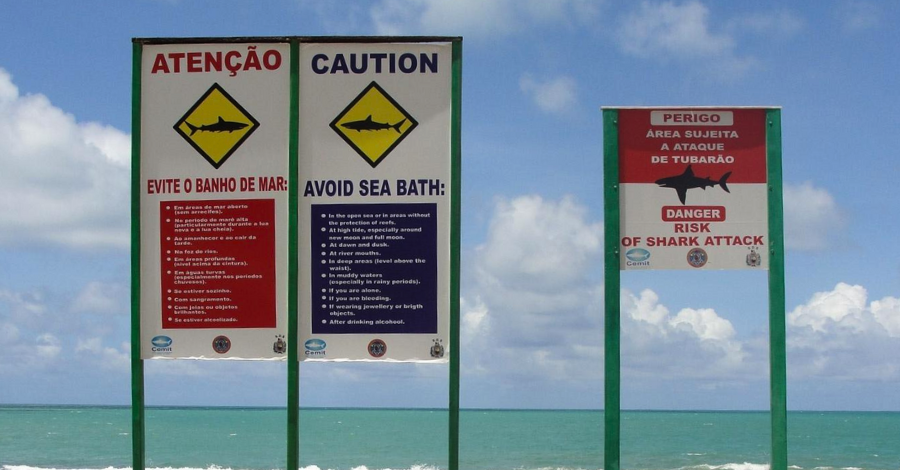 Ataques de Tubarão em Recife
