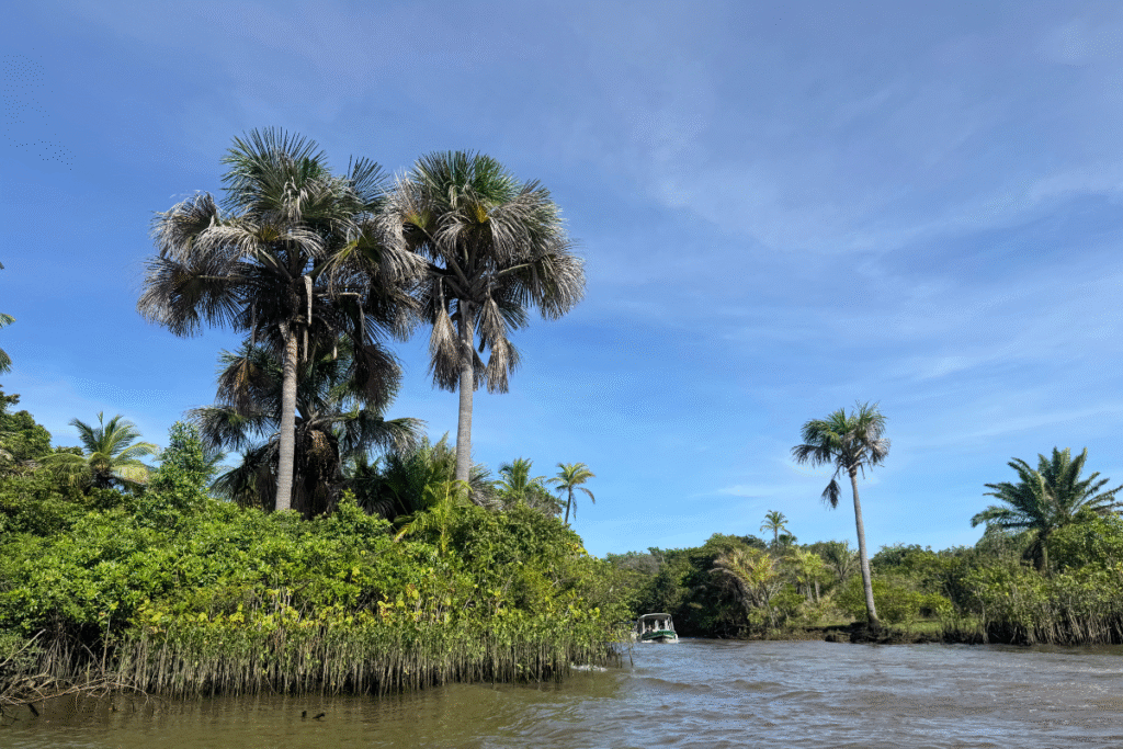 Rio Preguiças